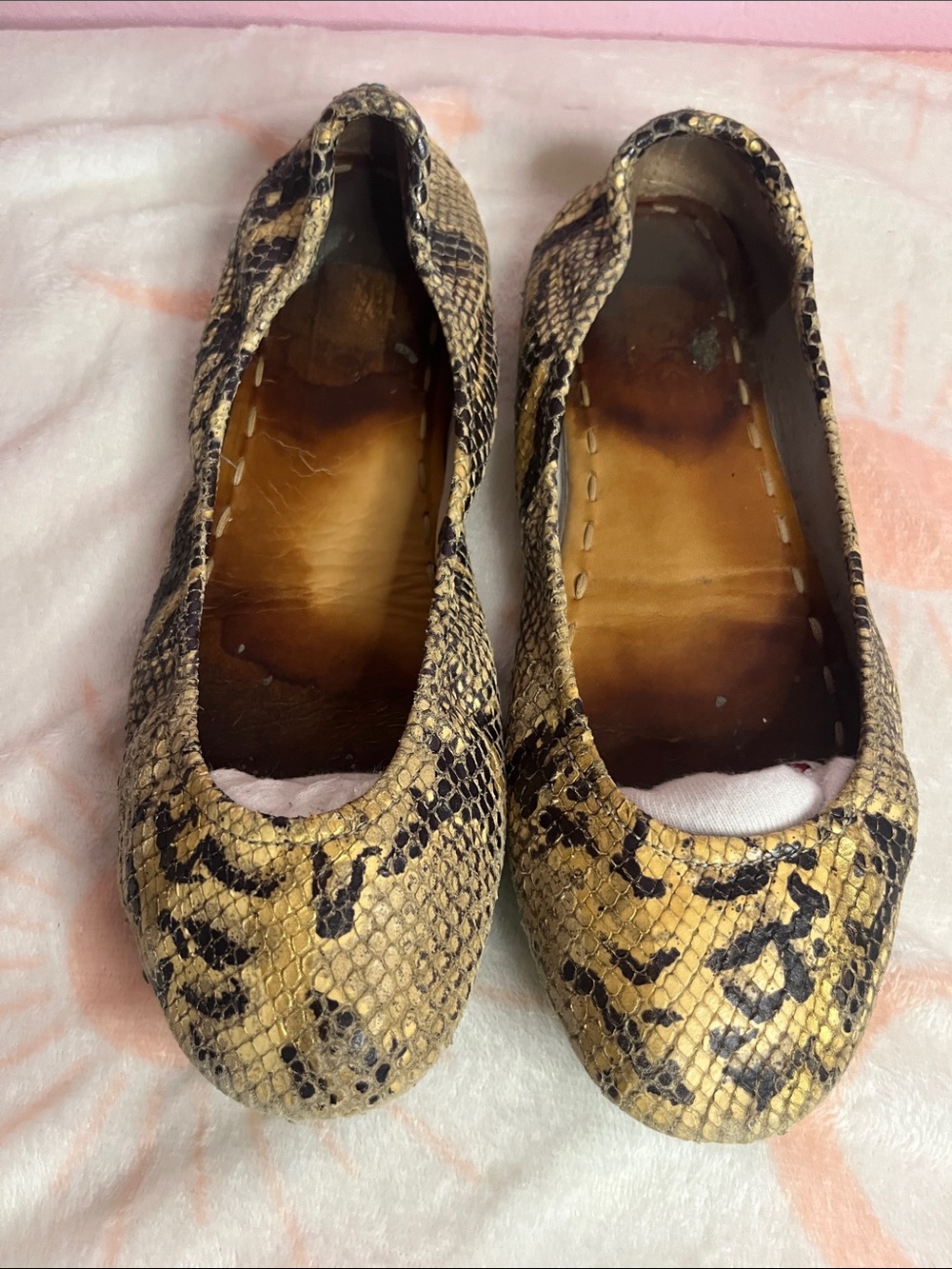Tieks Snake-Print Ballet Flats with Teal Soles